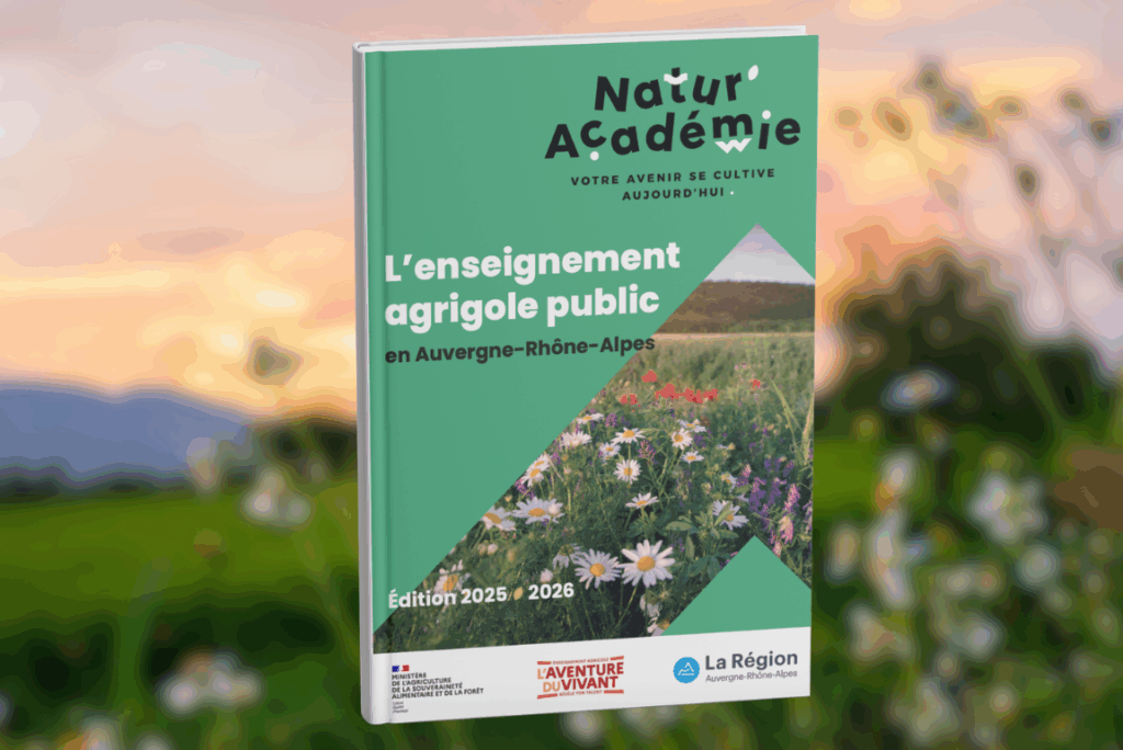 L'agence Aurézo, agence de communication à roanne réalise des brochures/plaquettes afin de mettre en avant votre entreprise