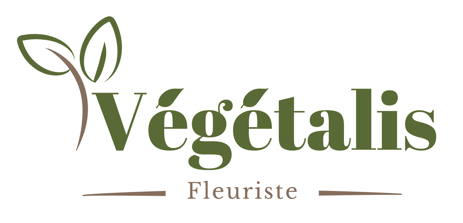 végétalis - fleuriste à Roanne. Site web, logo réalisé par l'agence Aurezo à Roanne - Agence de marketing et communication
